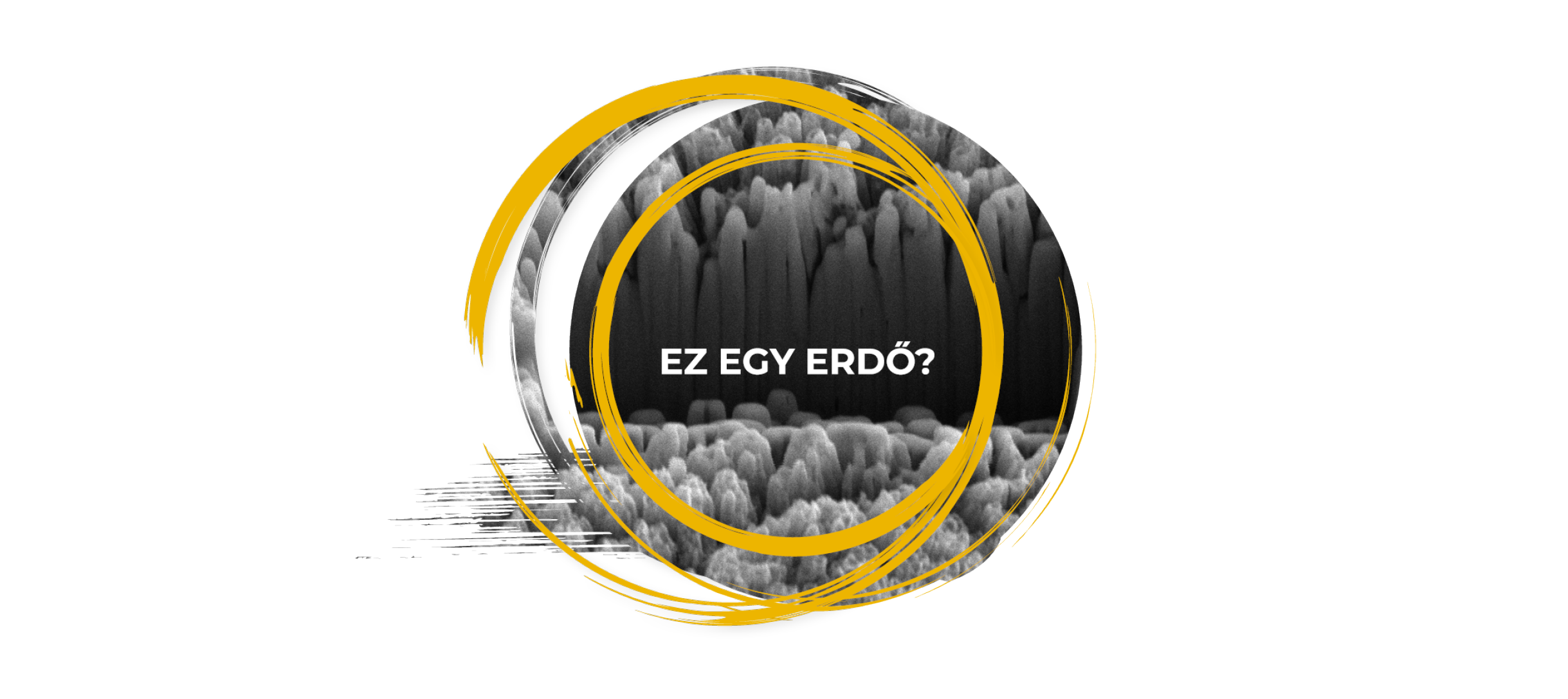 Művészet a tudományban - Pályázati felhívás