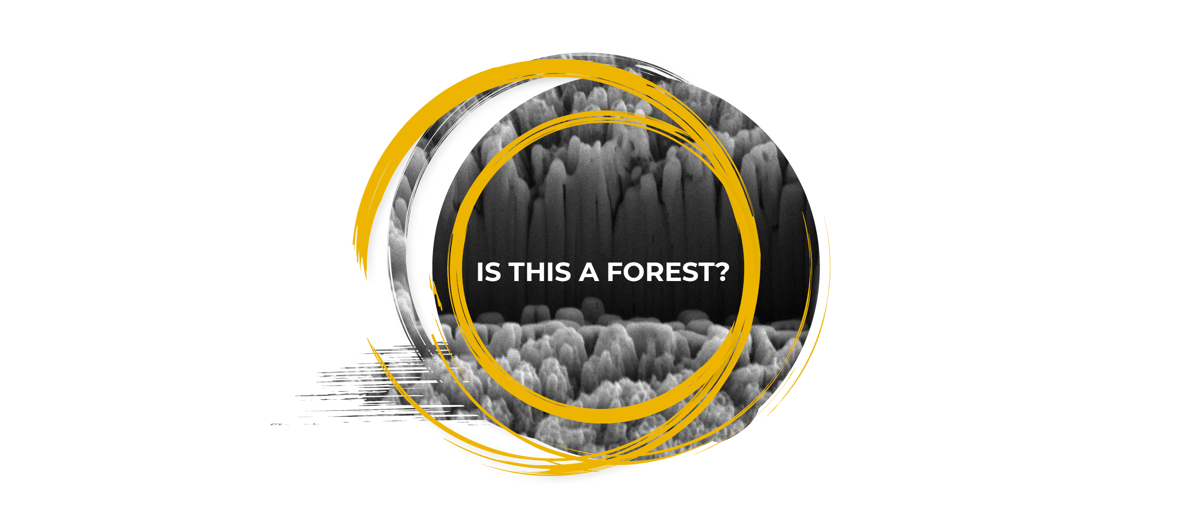 Art in Science - Invitation for entries